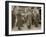 General Luigi Cadorna, Italian CINC, and General Joseph Joffre, French CINC, Calais, Mar 1916-null-Framed Photographic Print