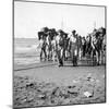 General MacArthur Coming Ashore, Luzon, Phillipines-Carl Mydans-Mounted Premium Photographic Print