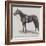 General Peace, Winner of the Lincolnshire Handicap-null-Framed Giclee Print