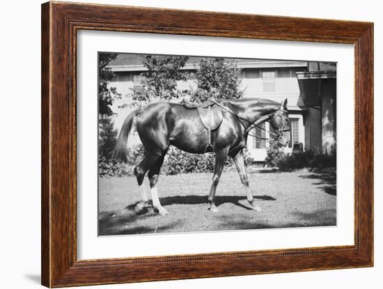 General Pershing's Horse Quidron-null-Framed Art Print