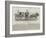 General Tom Thumb's Carriage-null-Framed Giclee Print