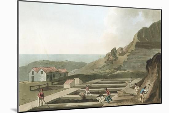 General View of an Alum Works in the Whitby Area, Yorkshire, 1814-Havell & Son-Mounted Giclee Print