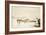 General View of Experiment Track-Eadweard Muybridge-Framed Photographic Print