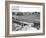 General View of the Oval Cricket Ground August 1947-Staff-Framed Photographic Print