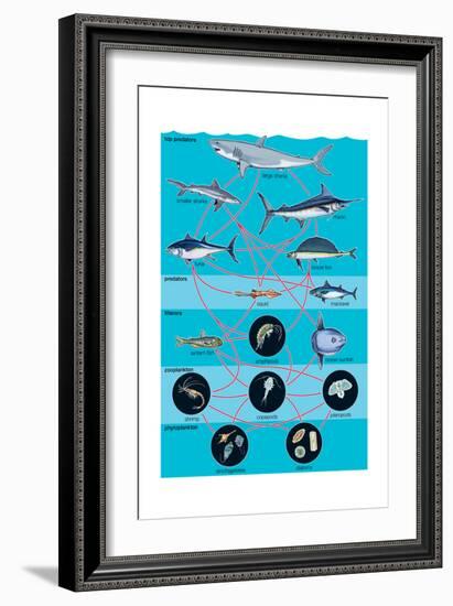 Generalized Aquatic Food Web. Marine Ecosystem, Biosphere, Earth Sciences-Encyclopaedia Britannica-Framed Art Print