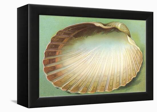 Generic Clam Shell-null-Framed Stretched Canvas