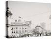Stretched Canvas Print