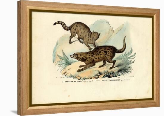 Genet, 1863-79-Raimundo Petraroja-Framed Premier Image Canvas