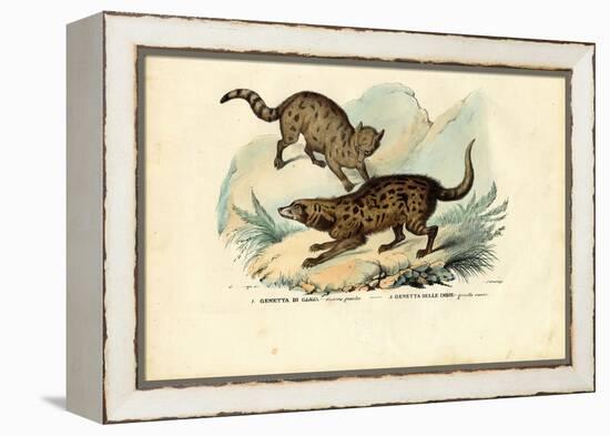 Genet, 1863-79-Raimundo Petraroja-Framed Premier Image Canvas