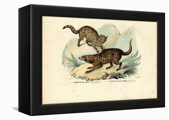 Genet, 1863-79-Raimundo Petraroja-Framed Premier Image Canvas