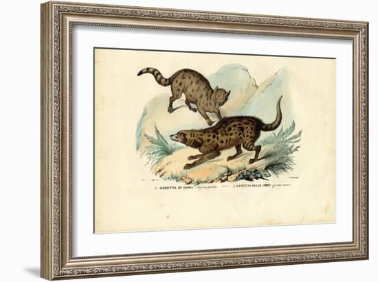 Genet, 1863-79-Raimundo Petraroja-Framed Giclee Print