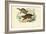 Genet, 1863-79-Raimundo Petraroja-Framed Giclee Print