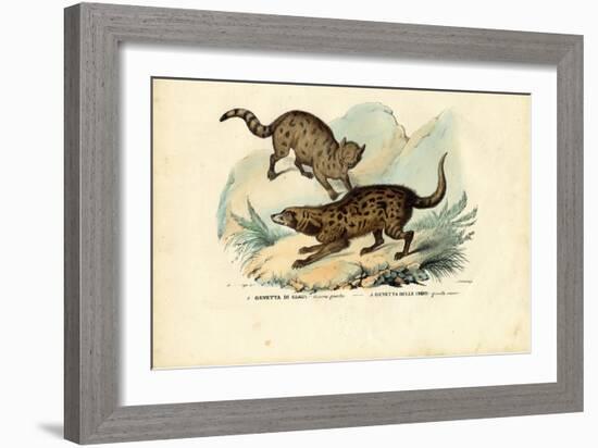 Genet, 1863-79-Raimundo Petraroja-Framed Giclee Print