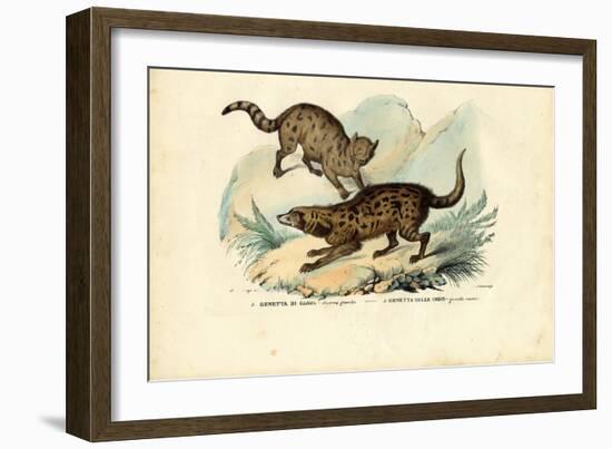 Genet, 1863-79-Raimundo Petraroja-Framed Giclee Print