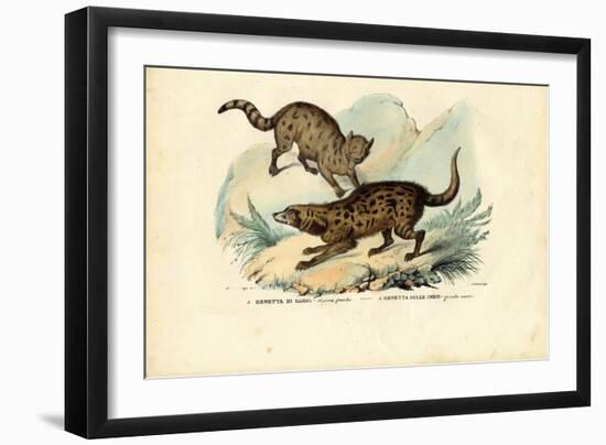 Genet, 1863-79-Raimundo Petraroja-Framed Giclee Print