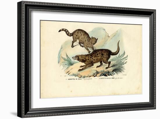 Genet, 1863-79-Raimundo Petraroja-Framed Giclee Print