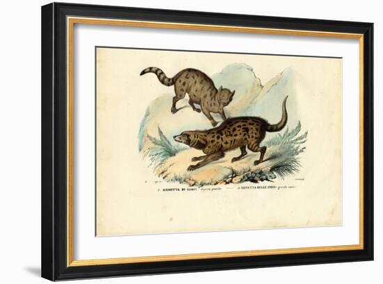 Genet, 1863-79-Raimundo Petraroja-Framed Giclee Print