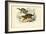 Genet, 1863-79-Raimundo Petraroja-Framed Giclee Print