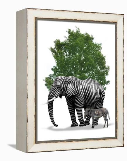 Genetic Engineering, Conceptual Image-Victor Habbick-Framed Premier Image Canvas