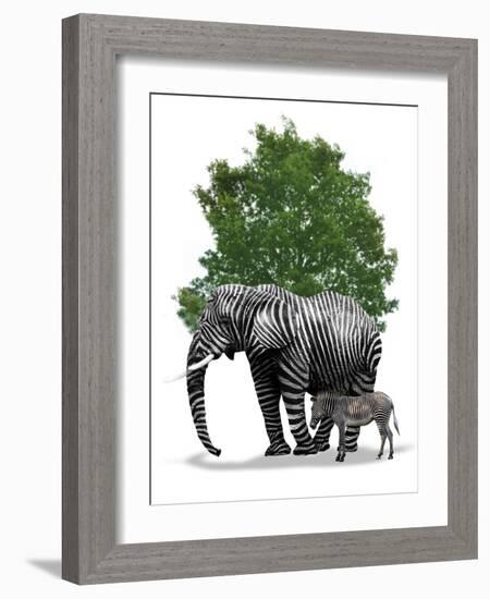 Genetic Engineering, Conceptual Image-Victor Habbick-Framed Photographic Print