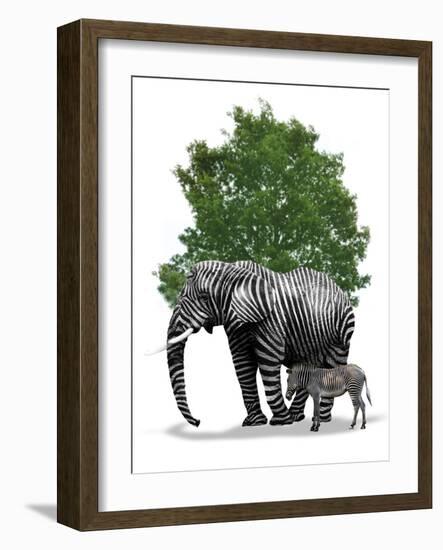 Genetic Engineering, Conceptual Image-Victor Habbick-Framed Photographic Print