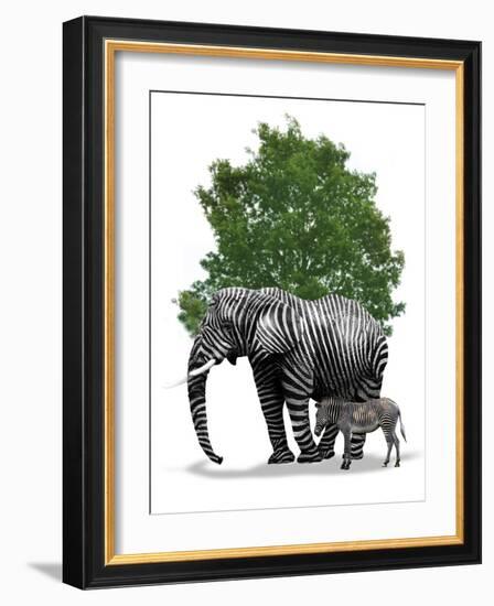 Genetic Engineering, Conceptual Image-Victor Habbick-Framed Photographic Print