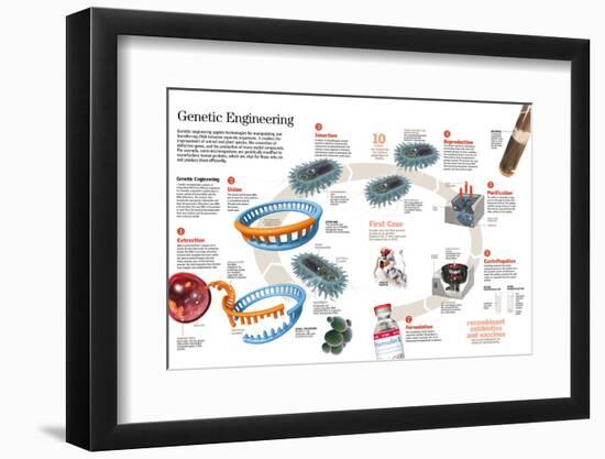 Photographic Print, , large