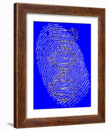 Genetic Fingerprint-Victor De Schwanberg-Framed Photographic Print