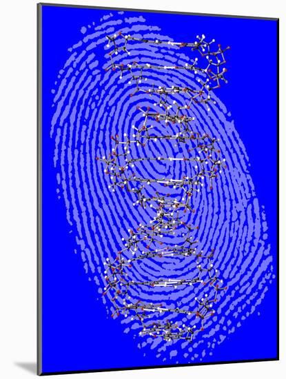 Genetic Fingerprint-Victor De Schwanberg-Mounted Photographic Print