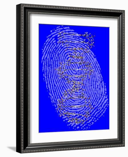 Genetic Fingerprint-Victor De Schwanberg-Framed Photographic Print