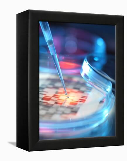 Genetic Research, Conceptual Image-Tek Image-Framed Premier Image Canvas