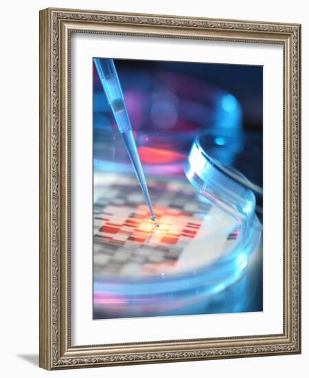 Genetic Research, Conceptual Image-Tek Image-Framed Photographic Print