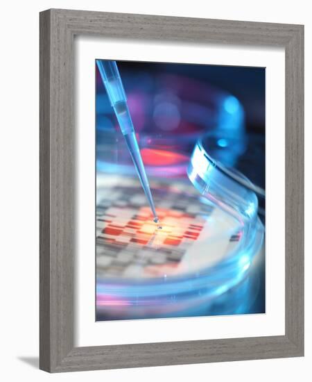Genetic Research, Conceptual Image-Tek Image-Framed Photographic Print