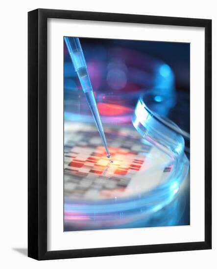 Genetic Research, Conceptual Image-Tek Image-Framed Photographic Print