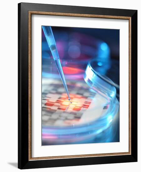 Genetic Research, Conceptual Image-Tek Image-Framed Photographic Print