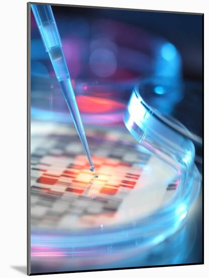 Genetic Research, Conceptual Image-Tek Image-Mounted Photographic Print