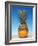 Genetically Modified Fruit Hybrid-Victor De Schwanberg-Framed Photographic Print