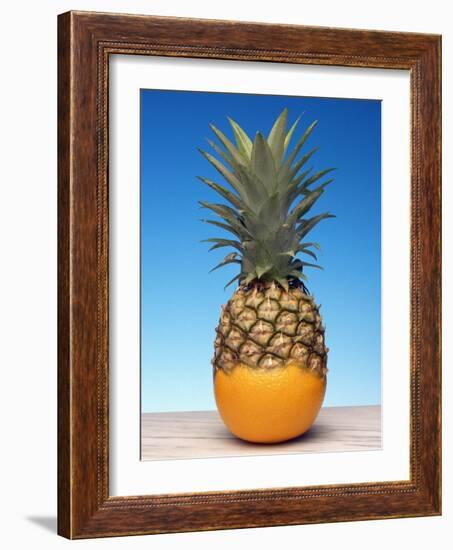 Genetically Modified Fruit Hybrid-Victor De Schwanberg-Framed Photographic Print