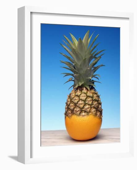 Genetically Modified Fruit Hybrid-Victor De Schwanberg-Framed Photographic Print