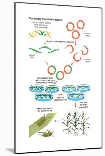 Genetically Modified Organism. Recombinant Dna Technology, Genetic Engineering, Heredity, Genetics-Encyclopaedia Britannica-Mounted Art Print