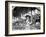 Genevieve Ebbets at Ebbets Field, Brooklyn Dodgers, Baseball Photo - New York, NY-Lantern Press-Framed Art Print