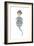 Genie-Effie Zafiropoulou-Framed Giclee Print