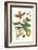 Genip Tree with Palm Weevil, a Long Horned Beetle and an Orchid Bee-Maria Sibylla Merian-Framed Art Print