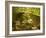 Genoan Bridge in Vegetation of Gorges De Spelonca, Ponte De Zaglia, Corsica, France-Trish Drury-Framed Photographic Print