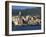 Genova (Genoa), Liguria, Italy-Oliviero Olivieri-Framed Photographic Print