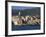 Genova (Genoa), Liguria, Italy-Oliviero Olivieri-Framed Photographic Print