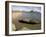 Genoveses Beach, Cabo De Gata, Almeria, Andalucia, Spain, Europe-Marco Cristofori-Framed Photographic Print