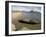 Genoveses Beach, Cabo De Gata, Almeria, Andalucia, Spain, Europe-Marco Cristofori-Framed Photographic Print