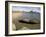 Genoveses Beach, Cabo De Gata, Almeria, Andalucia, Spain, Europe-Marco Cristofori-Framed Photographic Print