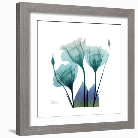 Gentian Buddies-Albert Koetsier-Framed Art Print